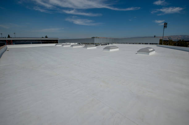 Asphalt Shingles Roofing in Stanton, MI