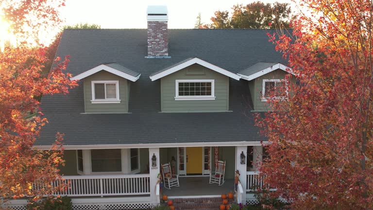 Best Gutter Installation and Repair  in Stanton, MI
