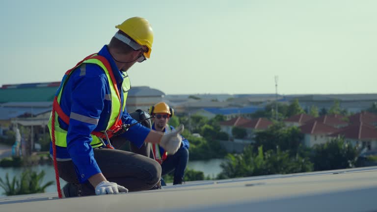 Best Roof Maintenance and Cleaning  in Stanton, MI